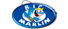  Big Marlin Surgelati – La rete in franchising del surgelato anche online. 